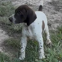 processed/fa822255-cf44-476b-a1f5-506a2b2be1c5/facility/546348dc-97ca-40e5-b89b-7e430da4932d