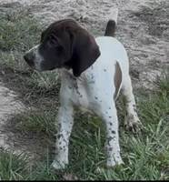 processed/fa822255-cf44-476b-a1f5-506a2b2be1c5/facility/546348dc-97ca-40e5-b89b-7e430da4932d