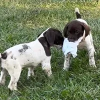 processed/fa822255-cf44-476b-a1f5-506a2b2be1c5/facility/6b3c231d-be4b-4720-aa06-47972a85f360