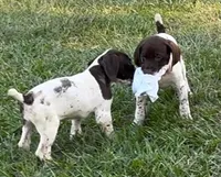 processed/fa822255-cf44-476b-a1f5-506a2b2be1c5/facility/6b3c231d-be4b-4720-aa06-47972a85f360