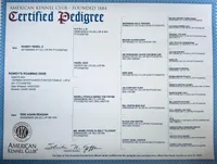processed/fa822255-cf44-476b-a1f5-506a2b2be1c5/facility/6b4f5b82-dacc-4a0c-b601-eeface5c08a8