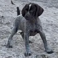 processed/fa822255-cf44-476b-a1f5-506a2b2be1c5/facility/da95db22-da30-4a6c-b494-2cea2705a412