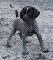 processed/fa822255-cf44-476b-a1f5-506a2b2be1c5/facility/da95db22-da30-4a6c-b494-2cea2705a412