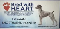 Rowdy, a male German Shorthaired Pointer for sale in Hattiesburg, MS – 10 of 10