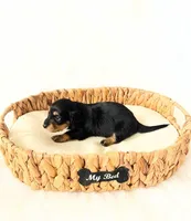 AKC Ruby, a female Miniature Dachshund for sale in Davis, CA – Photo 8 of 8