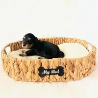 AKC Ruby, a female Miniature Dachshund for sale in Davis, CA – Photo 4 of 8