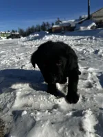 processed/fa8ba217-819a-447b-9130-bd4c13ba0ee7/listing/900bb2d7-40e2-4d9f-89d0-4e9d1bb8cdf0/5df3395b-4d3f-4d8c-9f15-d9dade8b1553