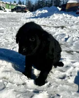 processed/fa8ba217-819a-447b-9130-bd4c13ba0ee7/listing/900bb2d7-40e2-4d9f-89d0-4e9d1bb8cdf0/6ea1aa11-97ea-4175-81a9-100e9f8e5fc4