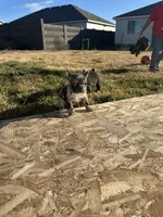 processed/fa8d12b7-2f58-469c-b4ad-bb0bf9b0da72/listing/35ada8c9-419c-44f7-9369-4f13ce6d8fe5/32035846-ca69-4a5b-826f-fbfa56efaf96