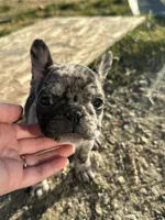 processed/fa8d12b7-2f58-469c-b4ad-bb0bf9b0da72/listing/35ada8c9-419c-44f7-9369-4f13ce6d8fe5/d87544e2-c566-449e-934b-c0fe99b686e1