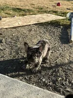 processed/fa8d12b7-2f58-469c-b4ad-bb0bf9b0da72/listing/35ada8c9-419c-44f7-9369-4f13ce6d8fe5/fd025862-9eee-459f-a228-8e8fdae819ee