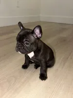 processed/fa8d12b7-2f58-469c-b4ad-bb0bf9b0da72/listing/a6aa3400-f8c1-44de-bbe8-7b49374d6100/162399d7-a6ff-4eb1-b444-4781c1796bfd