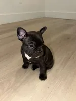 processed/fa8d12b7-2f58-469c-b4ad-bb0bf9b0da72/listing/a6aa3400-f8c1-44de-bbe8-7b49374d6100/50e8ea87-2b9e-43bd-865c-22f06b670946