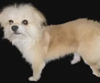 processed/fa9494a0-c788-4992-bc0d-d67d7f580f99/listing/043e2e11-03f2-4e55-9c41-8c27133031f5/98275eb4-c6dd-43bb-94b9-d40dc36299e2