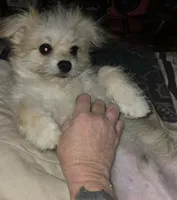 processed/fa9494a0-c788-4992-bc0d-d67d7f580f99/listing/043e2e11-03f2-4e55-9c41-8c27133031f5/9bea0b7d-729d-4f98-b064-0e3dd51b5970