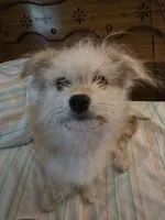 processed/fa9494a0-c788-4992-bc0d-d67d7f580f99/listing/043e2e11-03f2-4e55-9c41-8c27133031f5/a3e00c95-0b14-40e2-8439-9a67d3676bff