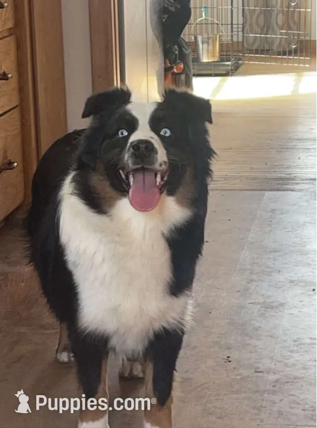 Can’t Get Enough of Fancy