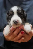 processed/fab8c0bc-9d20-4b0c-bd98-592695a244d7/listing/0bd36f12-a29b-4818-98fd-acc898b18bdf/04bce3e7-4208-4ef0-8e6e-9d356bd74a61