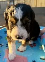 processed/fab8c0bc-9d20-4b0c-bd98-592695a244d7/listing/0bd36f12-a29b-4818-98fd-acc898b18bdf/61b1b2ce-7b7f-40cb-877a-cadb41562f09