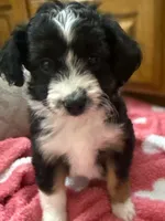 processed/fab8c0bc-9d20-4b0c-bd98-592695a244d7/listing/0bd36f12-a29b-4818-98fd-acc898b18bdf/c5fe453e-5b5d-4241-883e-1b11abadbd99