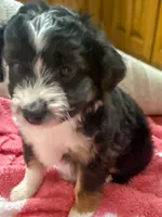 processed/fab8c0bc-9d20-4b0c-bd98-592695a244d7/listing/0bd36f12-a29b-4818-98fd-acc898b18bdf/ec3ecc22-53ce-4879-ad66-2ef82cd7a20c