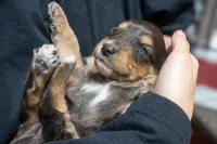 processed/fab8c0bc-9d20-4b0c-bd98-592695a244d7/listing/5f7a6fe9-3fdb-4bf0-8663-42452059bc88/157fd4f4-26f2-4405-bad6-a42d2148cb6d