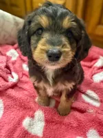 processed/fab8c0bc-9d20-4b0c-bd98-592695a244d7/listing/5f7a6fe9-3fdb-4bf0-8663-42452059bc88/4d14fe86-feae-4d01-abfe-a04407c22813