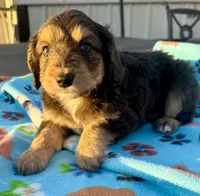 processed/fab8c0bc-9d20-4b0c-bd98-592695a244d7/listing/5f7a6fe9-3fdb-4bf0-8663-42452059bc88/5f07b2e1-f647-4bed-a681-dfb4046d5576