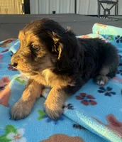 processed/fab8c0bc-9d20-4b0c-bd98-592695a244d7/listing/5f7a6fe9-3fdb-4bf0-8663-42452059bc88/7e3a52ac-da9b-4572-bd0b-ce2adf072652