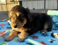 processed/fab8c0bc-9d20-4b0c-bd98-592695a244d7/listing/5f7a6fe9-3fdb-4bf0-8663-42452059bc88/ebf188ad-b4e1-4275-8352-90860b94dc12