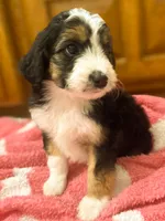 processed/fab8c0bc-9d20-4b0c-bd98-592695a244d7/listing/a5572add-a103-4854-9730-96069fef7935/5f41d6da-a61e-4672-b92c-ef9134281686