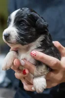 processed/fab8c0bc-9d20-4b0c-bd98-592695a244d7/listing/a5572add-a103-4854-9730-96069fef7935/732db77b-106c-4a4a-83fa-b30704389012