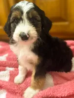 processed/fab8c0bc-9d20-4b0c-bd98-592695a244d7/listing/a5572add-a103-4854-9730-96069fef7935/7753079b-217b-495d-9d9c-d0962613e94b