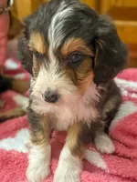 processed/fab8c0bc-9d20-4b0c-bd98-592695a244d7/listing/b45939ed-c6a3-4c25-995e-57be59926168/2ad80693-e622-474d-b2f6-87988a6dc450