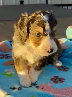 processed/fab8c0bc-9d20-4b0c-bd98-592695a244d7/listing/b45939ed-c6a3-4c25-995e-57be59926168/2d857bfc-4a61-4157-b7e8-2bb1ae46117d