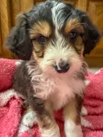 processed/fab8c0bc-9d20-4b0c-bd98-592695a244d7/listing/b45939ed-c6a3-4c25-995e-57be59926168/3248c4a8-0151-4d93-a3b7-db115c5765f3