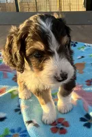 processed/fab8c0bc-9d20-4b0c-bd98-592695a244d7/listing/b45939ed-c6a3-4c25-995e-57be59926168/34421e72-a23e-4c90-b678-c19694343bc6