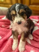 processed/fab8c0bc-9d20-4b0c-bd98-592695a244d7/listing/b45939ed-c6a3-4c25-995e-57be59926168/4274ce52-1009-45b6-9093-8c38a62bf884