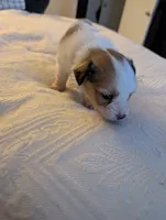 processed/fabd1716-b6b6-48dc-b5ad-54afd7a52739/listing/4225e5bd-26fc-4299-9349-7def79bc9598/765c4253-8e05-42bd-a07e-11337082db11