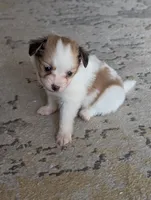 processed/fabd1716-b6b6-48dc-b5ad-54afd7a52739/listing/4225e5bd-26fc-4299-9349-7def79bc9598/d21636ef-43c8-4bbd-a570-6b8e9df3ec8e