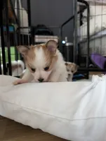 processed/fabd1716-b6b6-48dc-b5ad-54afd7a52739/listing/42a02c14-78a6-4180-bf23-aca3cfe0da75/45a38945-15b3-4942-9249-779f80398346