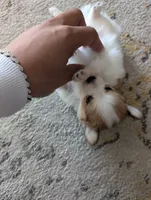 processed/fabd1716-b6b6-48dc-b5ad-54afd7a52739/listing/42a02c14-78a6-4180-bf23-aca3cfe0da75/535a47f8-45d6-4b28-bea1-e639d20783e4