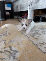 processed/fabd1716-b6b6-48dc-b5ad-54afd7a52739/listing/42a02c14-78a6-4180-bf23-aca3cfe0da75/a9319666-1992-4d5e-8fdd-23e559b748c8