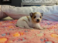 processed/fabd1716-b6b6-48dc-b5ad-54afd7a52739/listing/5acca97c-6be0-46d8-b115-932e1b1a4b0e/859435b6-f835-47c1-aeb1-635260139799