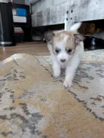 processed/fabd1716-b6b6-48dc-b5ad-54afd7a52739/listing/5acca97c-6be0-46d8-b115-932e1b1a4b0e/e1d77006-180c-4464-aac3-df44cced923e