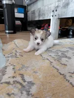 processed/fabd1716-b6b6-48dc-b5ad-54afd7a52739/listing/5acca97c-6be0-46d8-b115-932e1b1a4b0e/f1ed9d07-9b24-4561-89a5-22d97fa68296