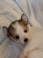 processed/fabd1716-b6b6-48dc-b5ad-54afd7a52739/listing/b3ddf8c3-c525-4ea1-9bff-982fced0a68d/073d442d-31ef-4dfe-83f1-d30fdbf91ab7