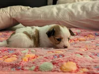 processed/fabd1716-b6b6-48dc-b5ad-54afd7a52739/listing/b3ddf8c3-c525-4ea1-9bff-982fced0a68d/431ab8f7-99b9-4834-9d0b-a93473ae10c7