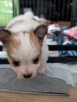 processed/fabd1716-b6b6-48dc-b5ad-54afd7a52739/listing/b3ddf8c3-c525-4ea1-9bff-982fced0a68d/bfa16ac8-f680-4140-b9e9-f0fab2b89399