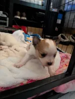 processed/fabd1716-b6b6-48dc-b5ad-54afd7a52739/listing/b3ddf8c3-c525-4ea1-9bff-982fced0a68d/f28a1bb9-6480-4cb8-be68-487bf06b1cd7